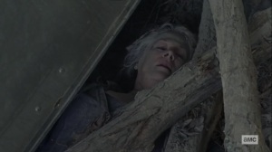 Look at the Flowers- Carol still trapped- AMC, The Walking Dead