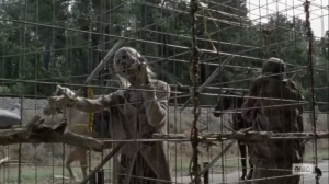 Look at the Flowers- Walkers in cages- AMC, The Walking Dead
